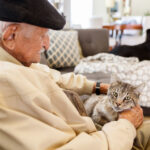 Commercial Cat Shelters for Sale