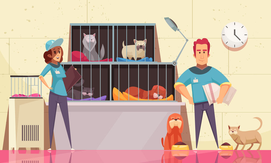 When You Donate To Animal Shelters Where Does Your Money Go The